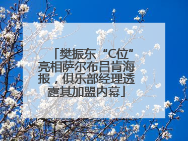 樊振东“C位”亮相萨尔布吕肯海报，俱乐部经理透露其加盟内幕