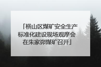 横山区煤矿安全生产标准化建设现场观摩会在朱家峁煤矿召开