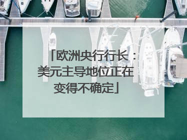 欧洲央行行长：美元主导地位正在变得不确定