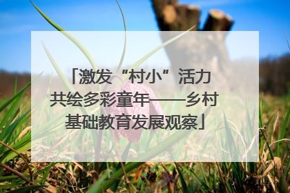激发“村小”活力 共绘多彩童年——乡村基础教育发展观察