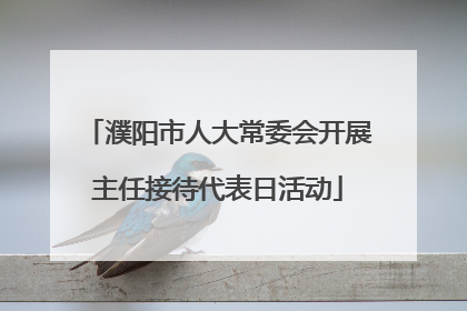濮阳市人大常委会开展主任接待代表日活动