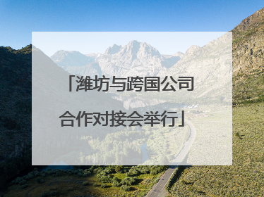 潍坊与跨国公司合作对接会举行