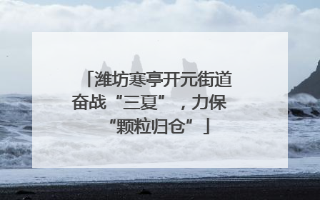 潍坊寒亭开元街道奋战“三夏”，力保“颗粒归仓”