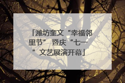 潍坊奎文“幸福邻里节” 暨庆“七一”文艺展演开幕