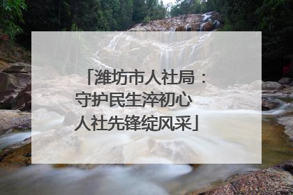 潍坊市人社局：守护民生淬初心 人社先锋绽风采