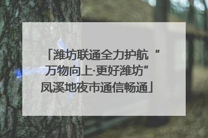 潍坊联通全力护航“万物向上·更好潍坊”凤溪地夜市通信畅通