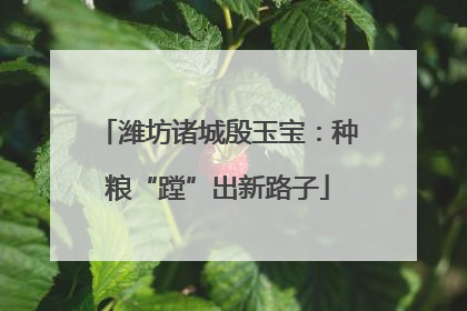 潍坊诸城殷玉宝：种粮“蹚”出新路子