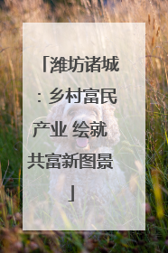 潍坊诸城：乡村富民产业 绘就共富新图景