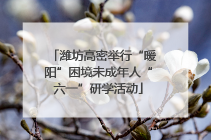 潍坊高密举行“暖阳”困境未成年人“六一”研学活动
