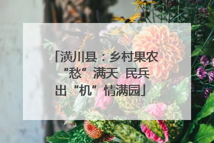 潢川县：乡村果农“愁”满天  民兵出“机”情满园