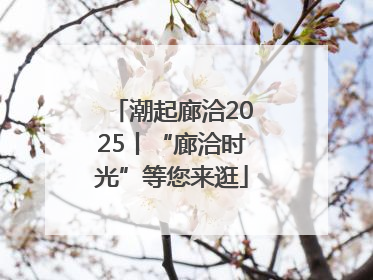 潮起廊洽2025丨“廊洽时光”等您来逛