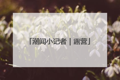 潮闻小记者｜露营