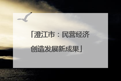 澄江市：民营经济创造发展新成果