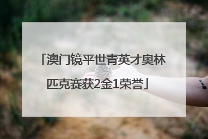 澳门镜平世青英才奥林匹克赛获2金1荣誉