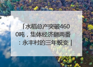 水稻总产突破4600吨，集体经济翻两番：永丰村的三年蜕变｜您牵挂的四川