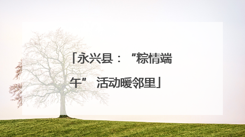 永兴县：“粽情端午” 活动暖邻里
