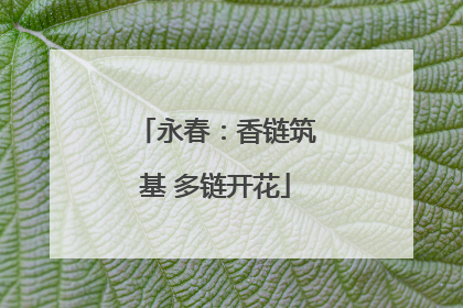 永春：香链筑基 多链开花