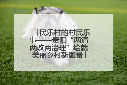 民乐村的村民乐事——贵阳“两清两改两治理”绘就美丽乡村新图景
