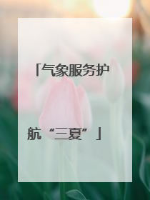 气象服务护航“三夏”