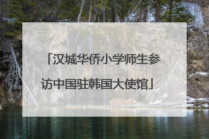 汉城华侨小学师生参访中国驻韩国大使馆