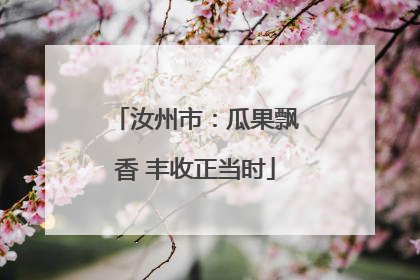汝州市：瓜果飘香 丰收正当时