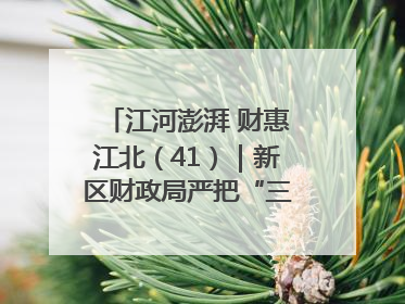 江河澎湃 财惠江北（41）｜新区财政局严把“三关” 绘就“良田美景”