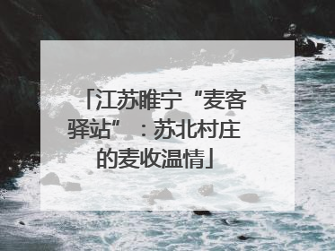 江苏睢宁“麦客驿站”：苏北村庄的麦收温情