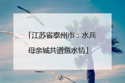 江苏省泰州市：水兵母亲城共谱鱼水情
