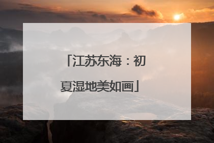 江苏东海：初夏湿地美如画