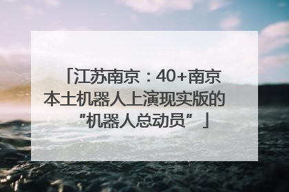 江苏南京：40+南京本土机器人上演现实版的“机器人总动员”