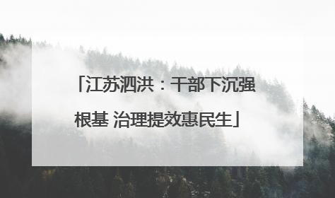 江苏泗洪：干部下沉强根基 治理提效惠民生