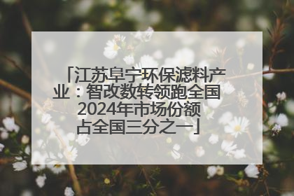 江苏阜宁环保滤料产业：智改数转领跑全国 2024年市场份额占全国三分之一