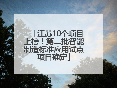 江苏10个项目上榜！第二批智能制造标准应用试点项目确定