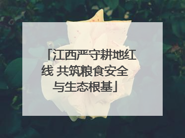 江西严守耕地红线 共筑粮食安全与生态根基