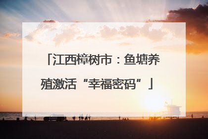 江西樟树市：鱼塘养殖激活“幸福密码”