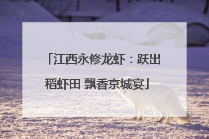 江西永修龙虾：跃出稻虾田 飘香京城宴