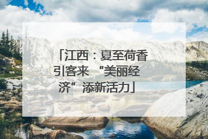江西：夏至荷香引客来 “美丽经济”添新活力