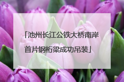 池州长江公铁大桥南岸首片钢桁梁成功吊装