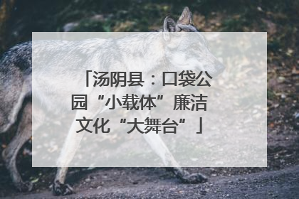 汤阴县：口袋公园“小载体”廉洁文化“大舞台”