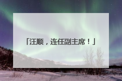 汪顺，连任副主席！