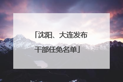 沈阳、大连发布干部任免名单