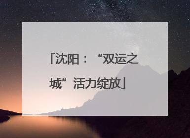 沈阳：“双运之城”活力绽放