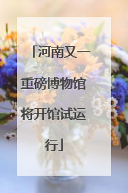 河南又一重磅博物馆将开馆试运行