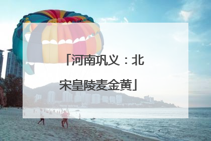 河南巩义：北宋皇陵麦金黄