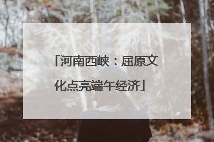 河南西峡：屈原文化点亮端午经济