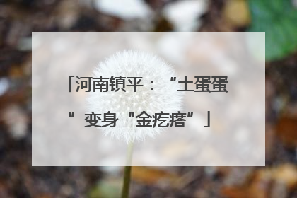 河南镇平：“土蛋蛋”变身“金疙瘩”
