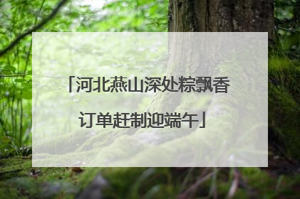 河北燕山深处粽飘香 订单赶制迎端午