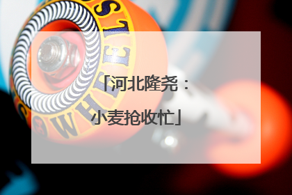 河北隆尧：小麦抢收忙