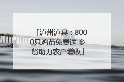泸州泸县：8000只鸡苗免费送 乡贤助力农户增收