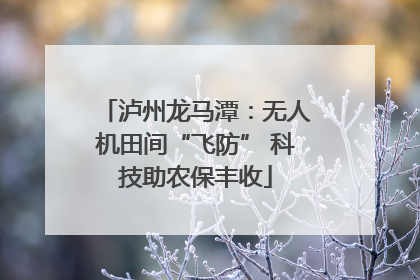 泸州龙马潭：无人机田间“飞防” 科技助农保丰收